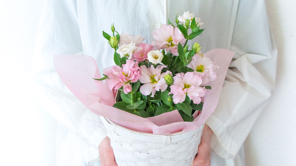 トルコキキョウのおはなしFlowerKitchenの花コラム