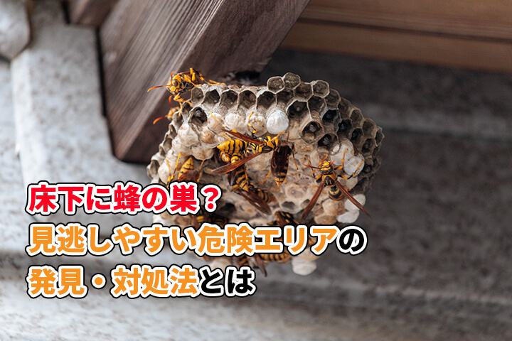 木酢液を散布して蜂を寄せ付けない蜂の巣駆除はハチ駆除ドットコム 滋賀・京都・大阪・三重 対応