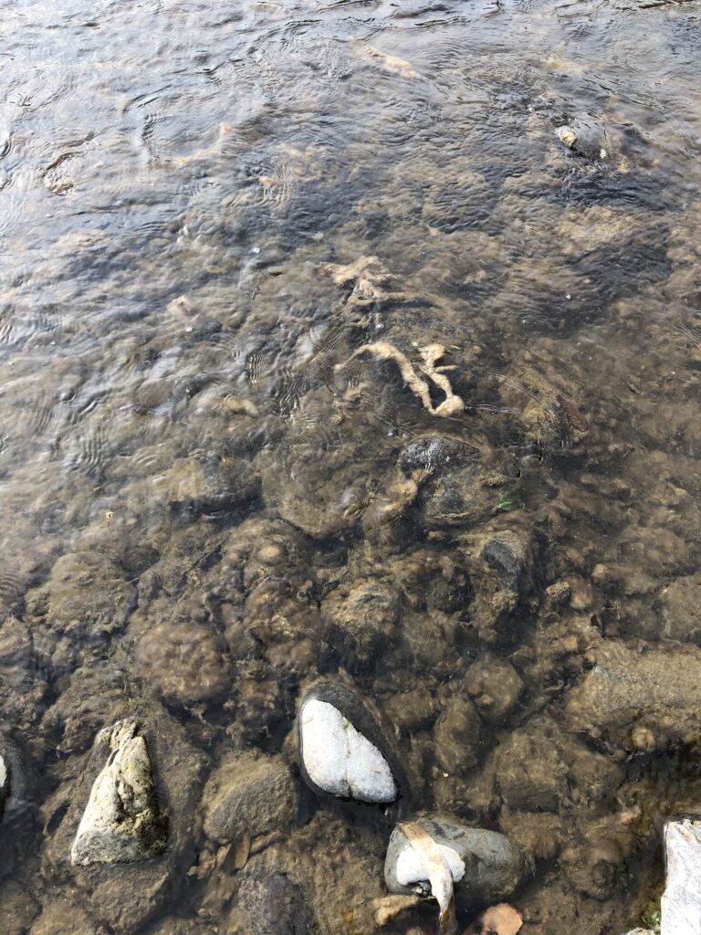 PowerPoint プレゼンテーション