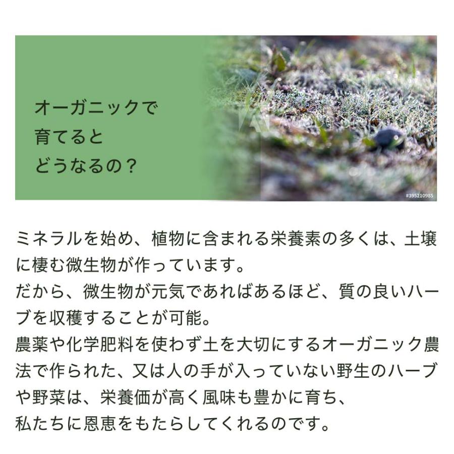 旧ネトルアイブライト 花粉 痒み アレリリーフキッズ チンキ ハーブ サプリメント 1oz エクレクティック研究所