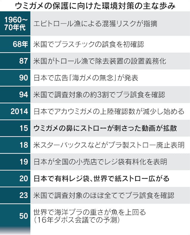 プラスチック汚染問題 – 亀はビニール袋を食べる写真素材1125207806Shutterstock