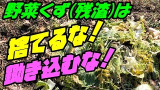 自家製コンポストで生ごみ減らし、肥料を作ろう！失敗しないコツあります。沖縄の家庭菜園ブログ-簡単！無農薬有機栽培