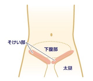 ジャップカサイを学ぶ | ポータルサイト『よくわかるジャップカサイ』睾丸マッサージ、JAPKASAI