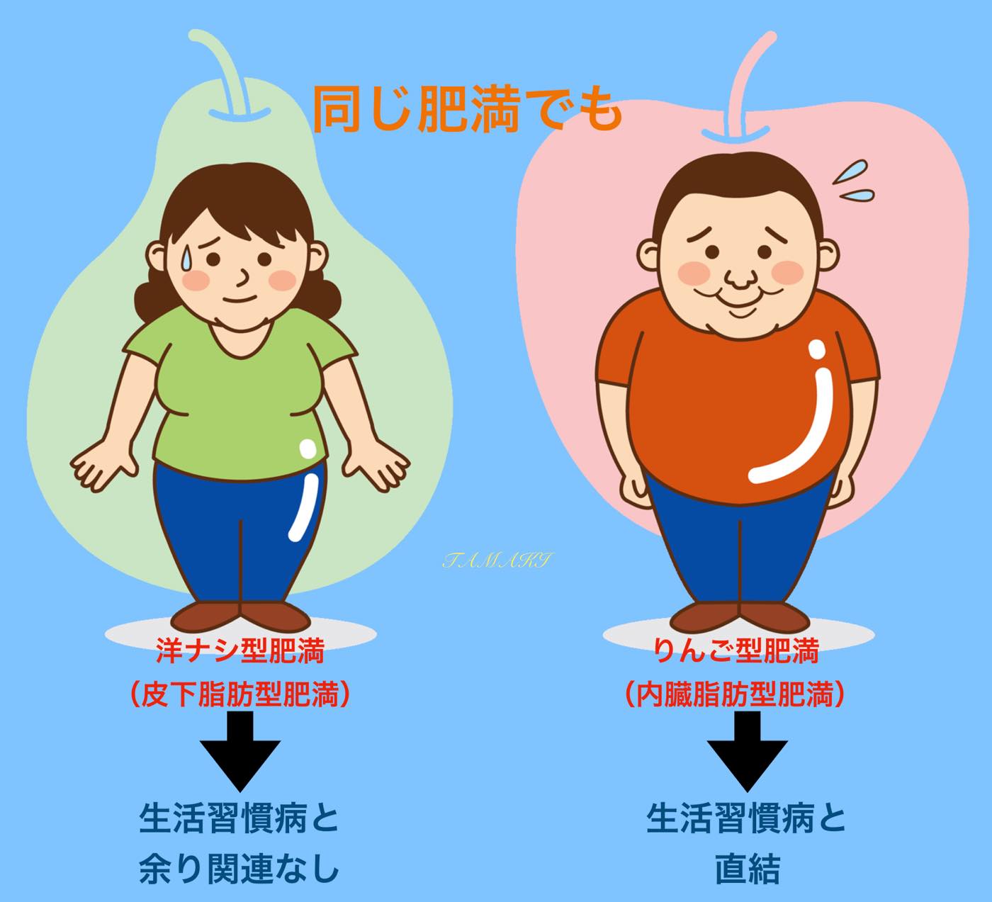 リンゴ型肥満」の写真素材1,943件の無料イラスト画像Adobe Stock