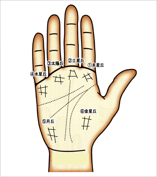 親指の付けにダイヤのような鎖模様ありますか？ある人は家族に恵まれていますよ〜手相 手相占い 手相あたりすぎ 手相鑑定 手相講座 手相診断 手相 リーディング 手相セラピー 手相鑑定士 手相観 手相セラピスト 手相占い 手相占い師 手相学 手相見てもらった 手相は