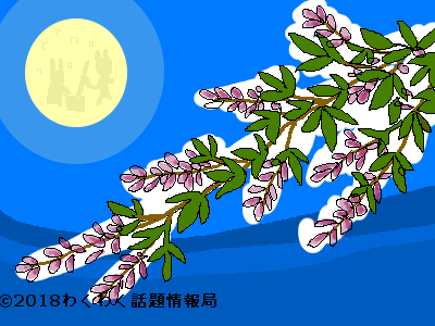 萩の花言葉は?歴史や豆知識についても解説! – &YOUKAENアンドユーカエン