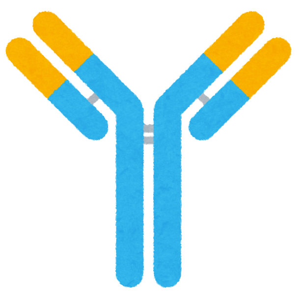 1,733 抗体 High Res Illustrations - Getty Images細胞, レセプター, Y