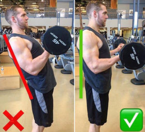 腕橈骨筋の解剖学と触診やほぐし方、筋トレやストレッチ - 志木駅の整体イーバランス整体院皆様のお悩みや痛みを根本改善