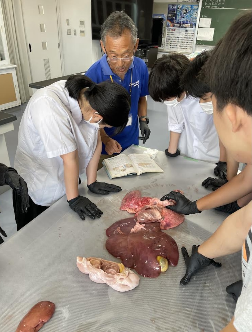 人体の不思議展