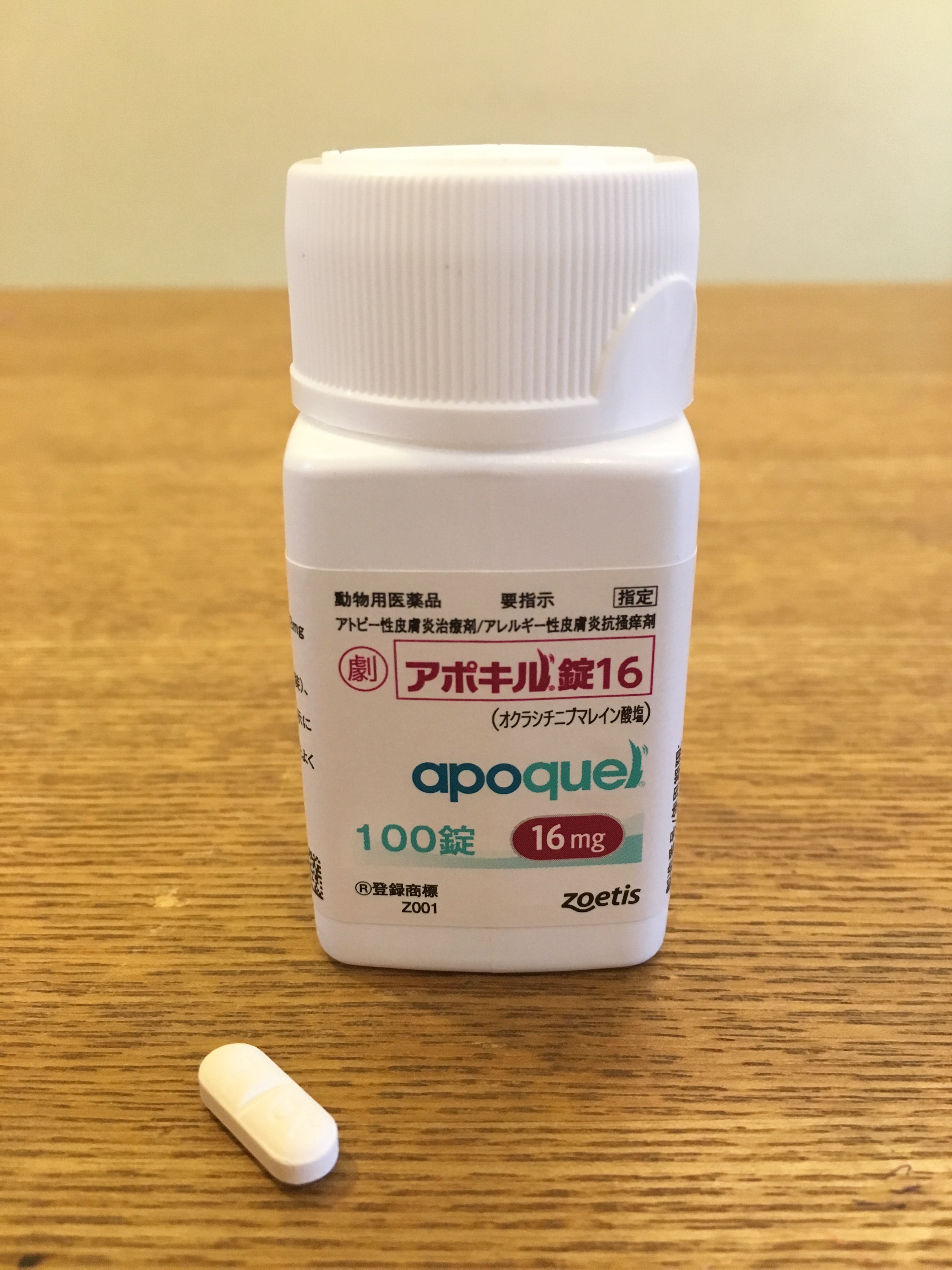 プレドニゾロン ステロイド、副腎皮質ホルモン という薬について犬猫の予防、診察は岸和田にあるガーデン動物病院へ