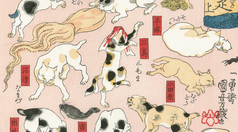 サンフレッチェ広島レジーナ 今季ホーム初勝利 上野真実 ５戦連続ゴール 中嶋淑乃 追撃弾 試合前に募金活動「被災地に元気や勇気を」RCCNEWS広島ニュースRCC中国放送1ページ