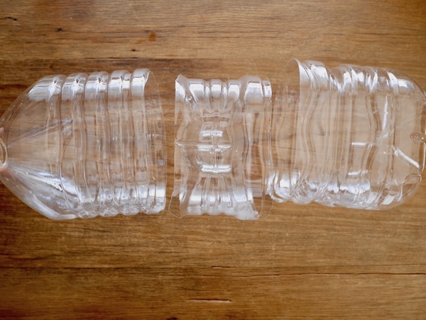 みどり図書館 「親子で！大高菜の種まき＆ペットボトルのプランター手作り体験会」をおこないました：おしらせ名古屋市立図書館こどもページ