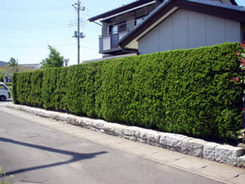 ガーデニング補助金の種類は？国・地方・民間と目的別で全て知りたい人へ植物図鑑HanaPrime ハナプライム