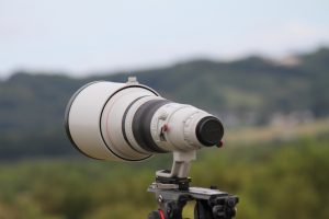 バルサム切れとは？原因と修理方法を徹底解説！ カメラ初心者必見- PASHARI