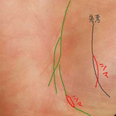 手相占い 幸運のフィッシュ線が現れる場所とその意味とは？ 隣接線編-前編