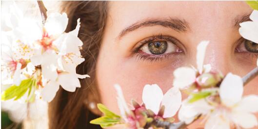 目フルコースバンビ目整形・アーモンドアイ美容整形外科のジョウクリニック