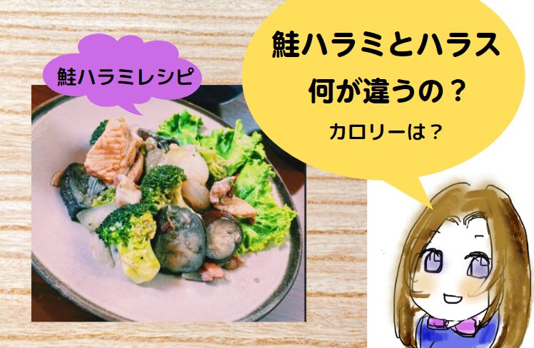 楽天市場 鮭 栄養 ハラミの通販