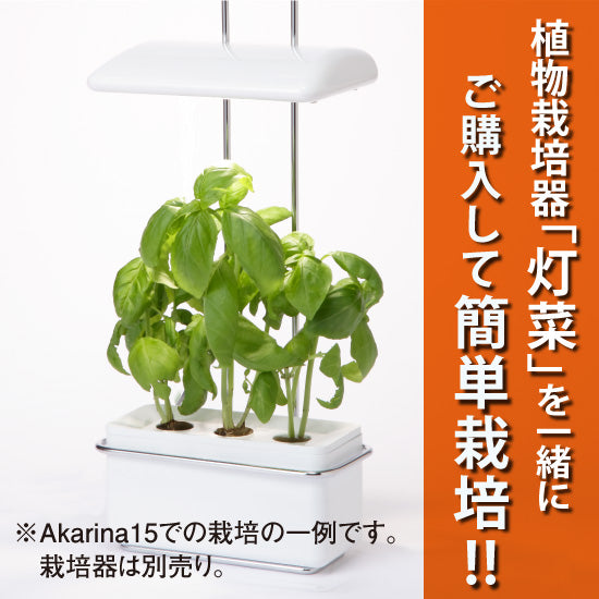 水やり簡単！水耕栽培セット