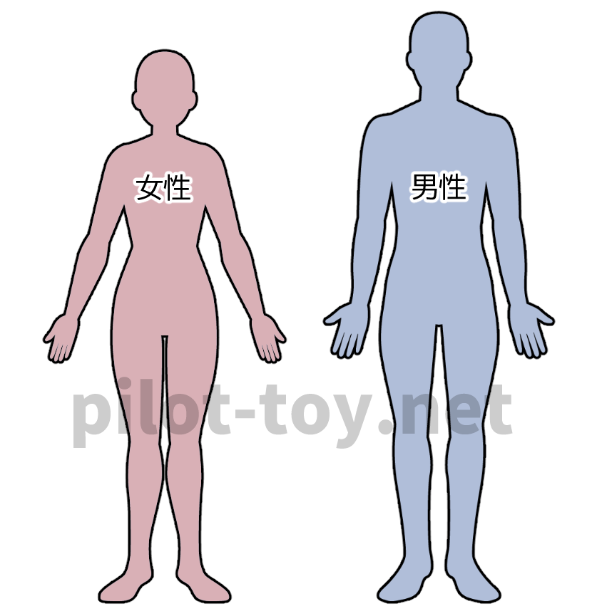 ガリ？マッチョ？ 女性が1番好きでモテる男性の体型をお伝えします。 インスタ女子2000人調査