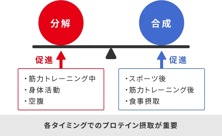 プロテインのおすすめ摂取タイミング
