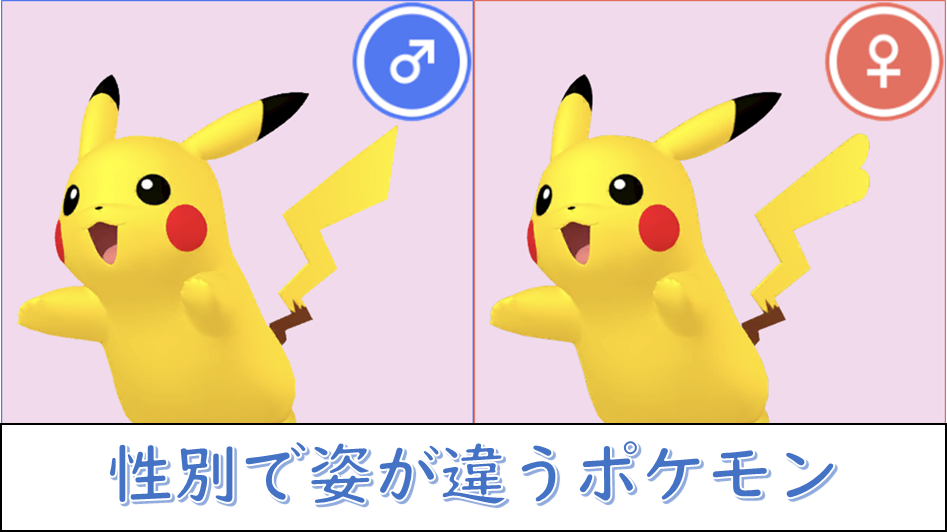 めちゃくちゃおすまし顔✊丸山桂里奈オフィシャルブログ「マルカリトーレ」Powered by Ameba