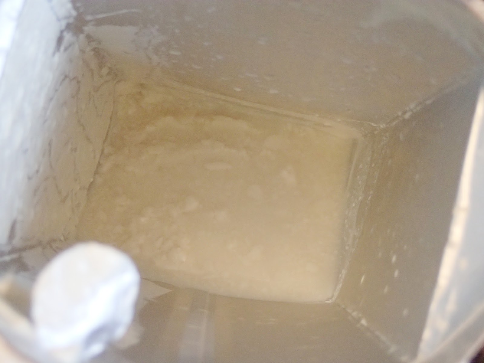 賞味期限切れヨーグルトは食べられる？腐ったものとの見分け方や消費レシピを解説コラムくまショップ 球磨川亭熊本の特産品通販・産地直送 公式