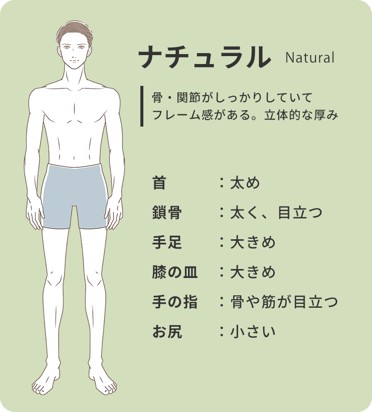 男性 骨格診断3タイプ 体型 骨格タイプの種類のイラスト素材123483080- PIXTA