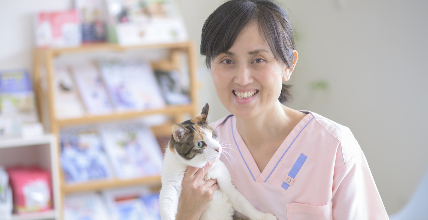 あしあと動物病院」 豊島区-動物病院 獣医師-〒171-0032 の地図 アクセス 地点情報 - NAVITIME