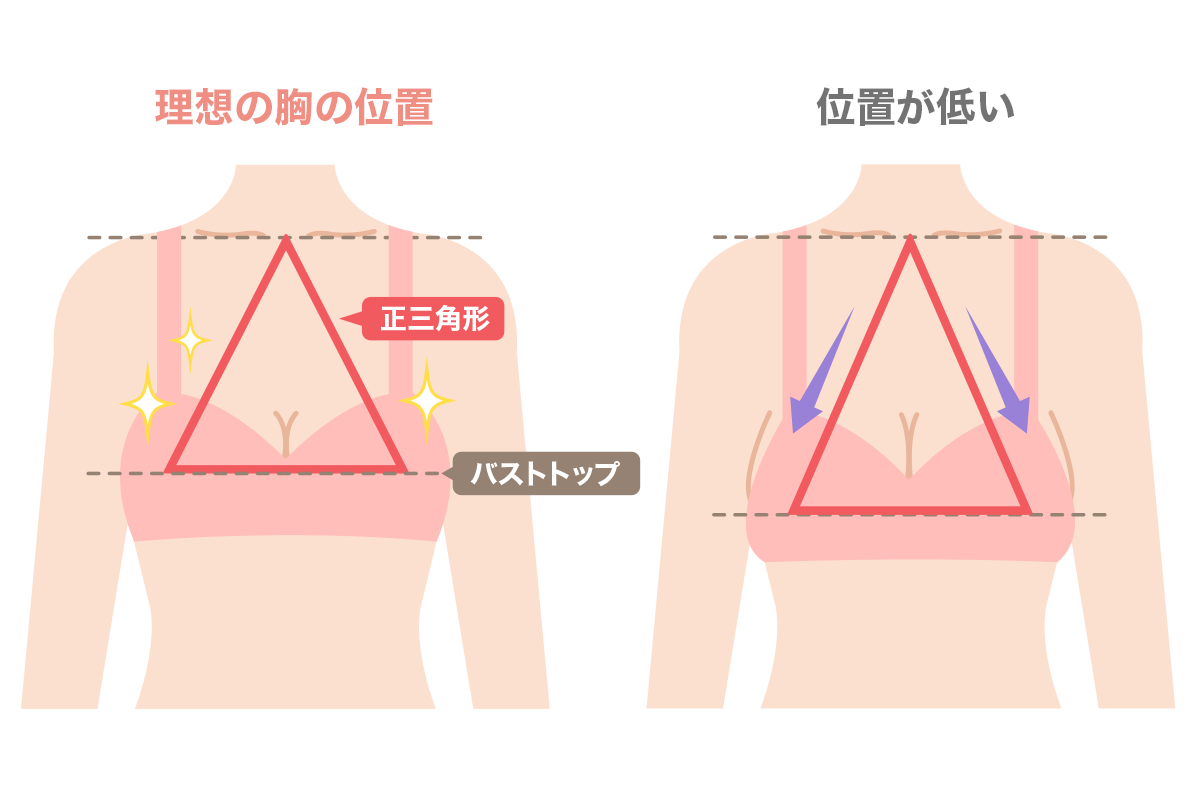 理想的な胸の位置とは？バストが低くなる原因＆正しいブラジャーの選び方・つけ方着ごこち+プラスGUNZE グンゼ