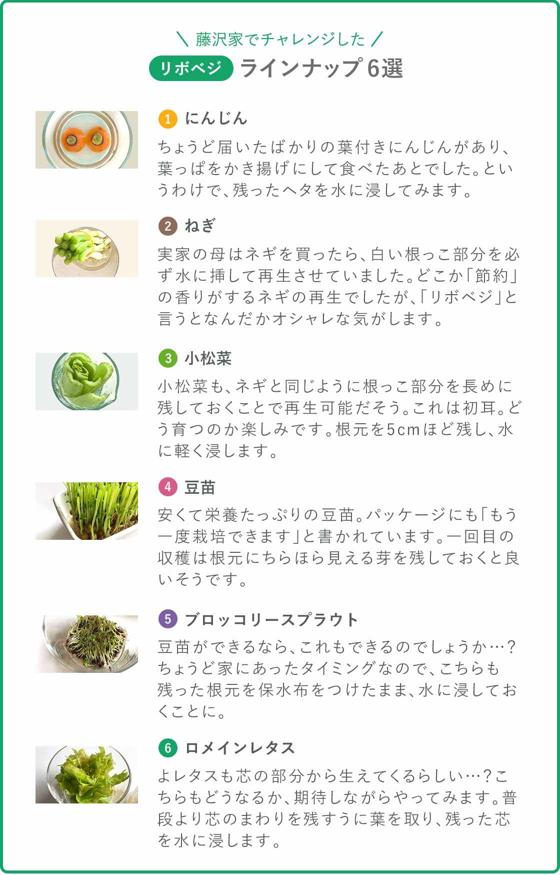 レシピ付き 家庭で食育！栄養たっぷり「豆苗」の育て方花まるBLOG～花まるグループ公式ブログ～