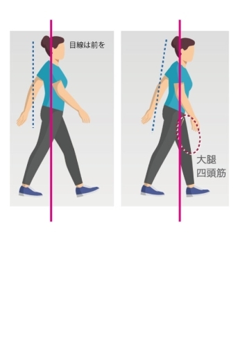 楽天市場50%OFFクーポンあり！ 開脚ストレッチャー 折り畳み式 開脚ストレッチ 股関節 ストレッチ 器具 股開き 牽引機 開脚マシン 痩せた簡単 ジム ヨガ ダイエット 股関節コアトレーニング 股割り器具 開脚 室内 運動器具 体幹トレーニング トレーニングマシン