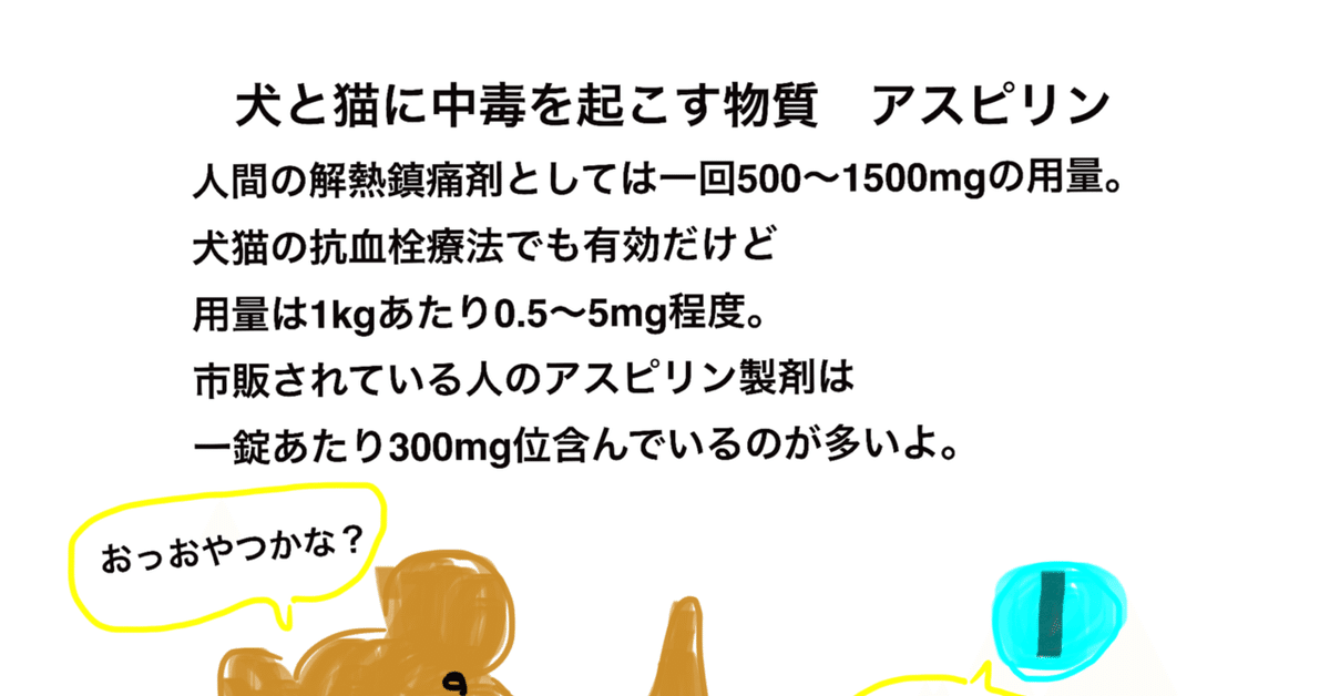 猫免疫不全、伝染性腹膜炎を発症してるタロウをどうか助けて下さい。 島 猛 2020 11 07 公開- クラウドファンディング READYFOR