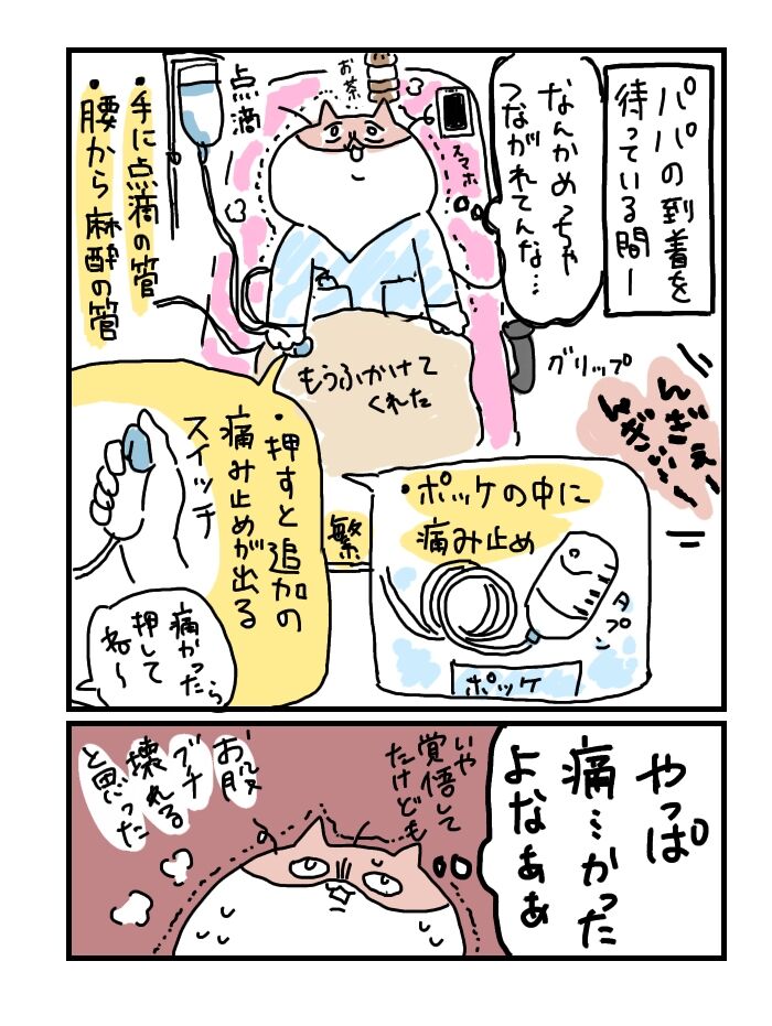 会陰切開より痛かったもの 妊娠なめてました日記 9 たまひよ