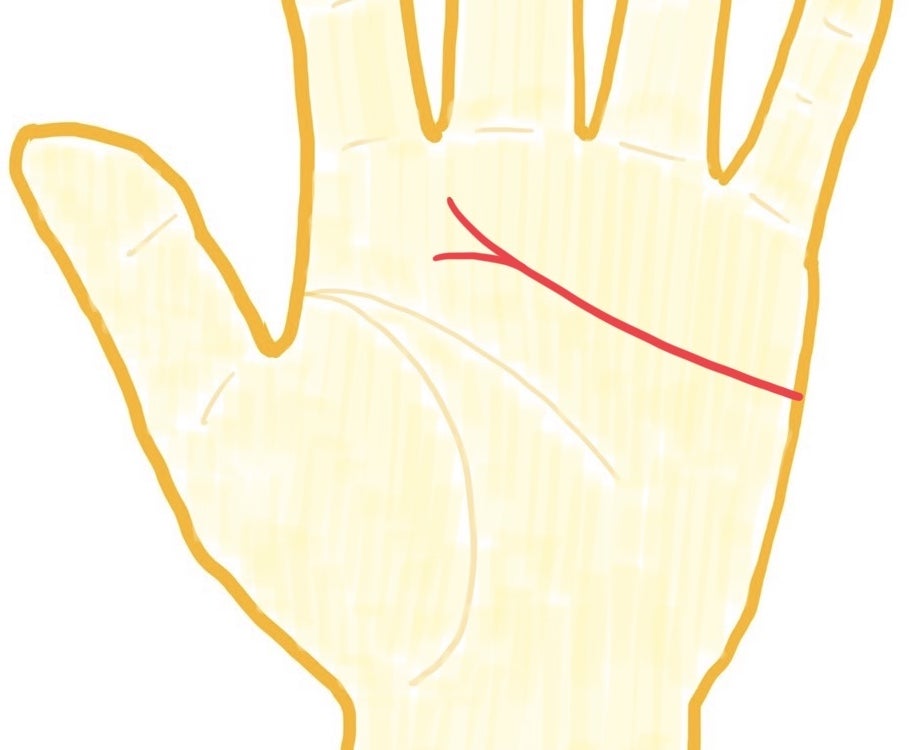 手相 占い」大串ノリコ先生監修！好きな人との相性、勉強運、適職など、気になることを占おう！ 高校生なうスタディサプリ進路 高校生に関するニュースを配信