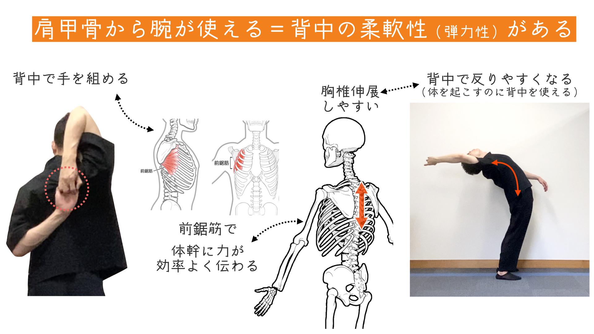 ブリッジで腕を伸ばしたい人におすすめの練習方法Jin Ikeda 池田仁