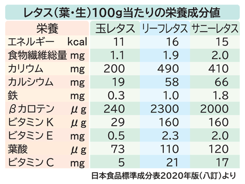 レタスの食物繊維は多い？少ない？その他の栄養素や摂取目安量についても解説！ONIGO通信スーパー価格で、すぐ届く。ONIGO