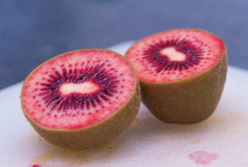 自然農法35年。皮ごと食べられるプライムキウイ。これがジャパン・クオリティー – 自然園いしわた農場