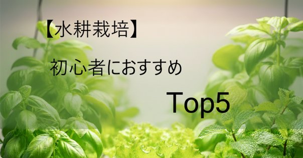 水耕栽培とプランター栽培をマンションで実際にやってみましたレポ VOL.1- ノウキナビブログ農機情報をお届け中