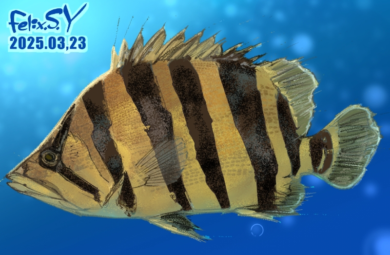 メチレンブルーの使いどきAQUALASSIC