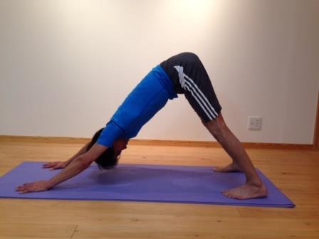 山の日のワークショップ「バランスのポーズで心と身体を整える」 - Oyama Yoga Studio