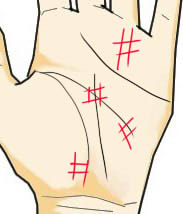 手相 占い」大串ノリコ先生監修！好きな人との相性、勉強運、適職など、気になることを占おう！ 高校生なうスタディサプリ進路 高校生に関するニュースを配信