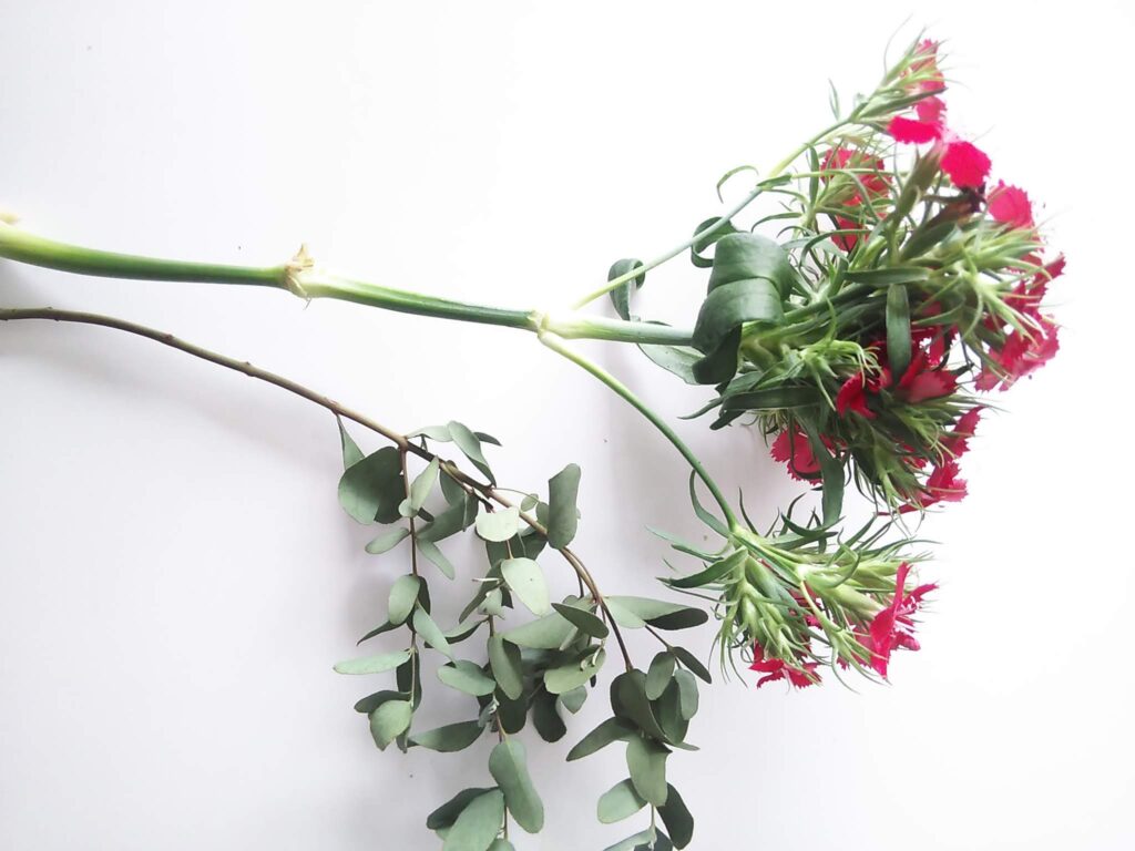 元花屋がレビュー ブルーミーのグリーンブーケの口コミ・評判は？すいの花