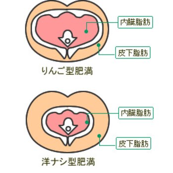 リンゴ型肥満イラスト - No: 22042853無料イラスト・フリー素材なら「イラストAC」