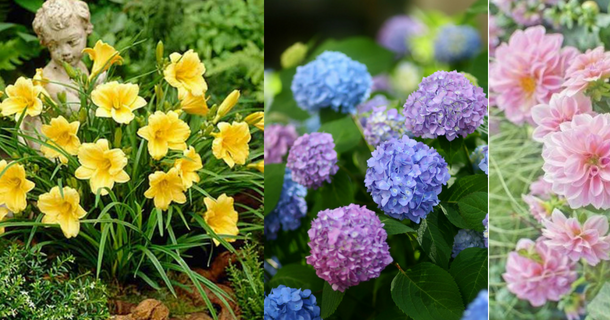 種子植物フィールド日記不二聖心女子学院 中学校・高等学校