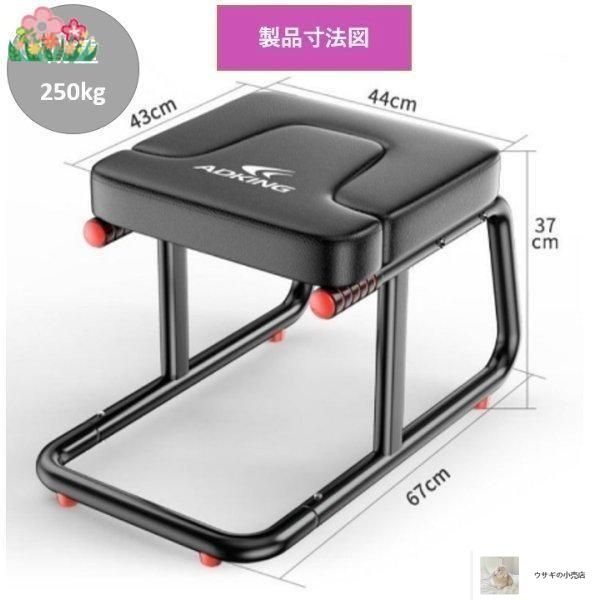 ヨガ DVD ピラティス ピラティスダイエット プラス3 エキスパンダー 送料無料 : 生涯スポーツ応援団 ヤフー店 - 通販 -Yahoo!ショッピング