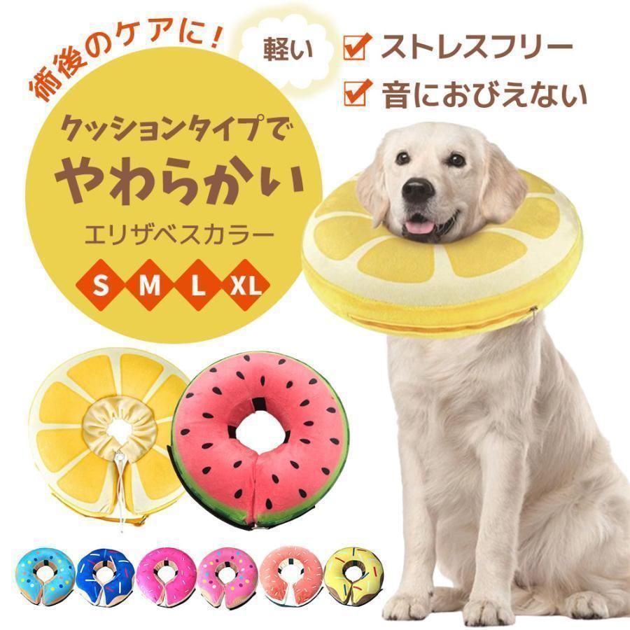 外さないで「エリザベスカラー」 - エルフペットクリニック