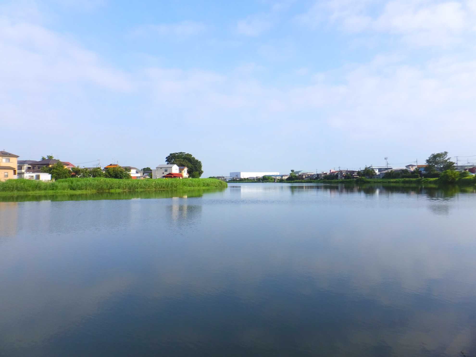 牛島古川公園（第Ⅱ期）ひまわりの広場へ - 31歳からの自転車