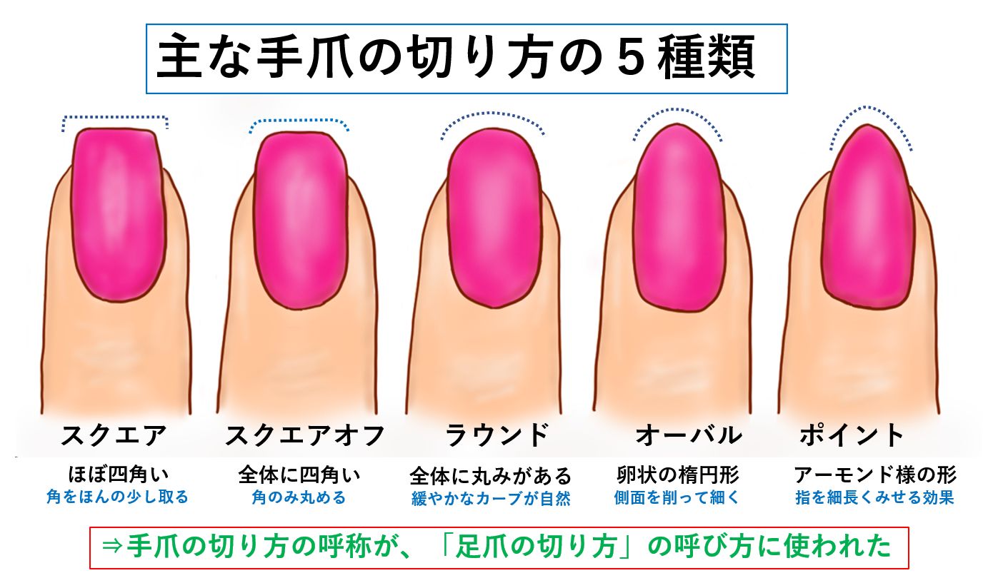 巻き爪は切るだけでは解決しない？！病院では教えてくれない巻き爪のことサロン運営への思いやネイルのお手入れについて綴るブログ宜野湾市の爪 ケアなら信頼と実績のティンカーベル