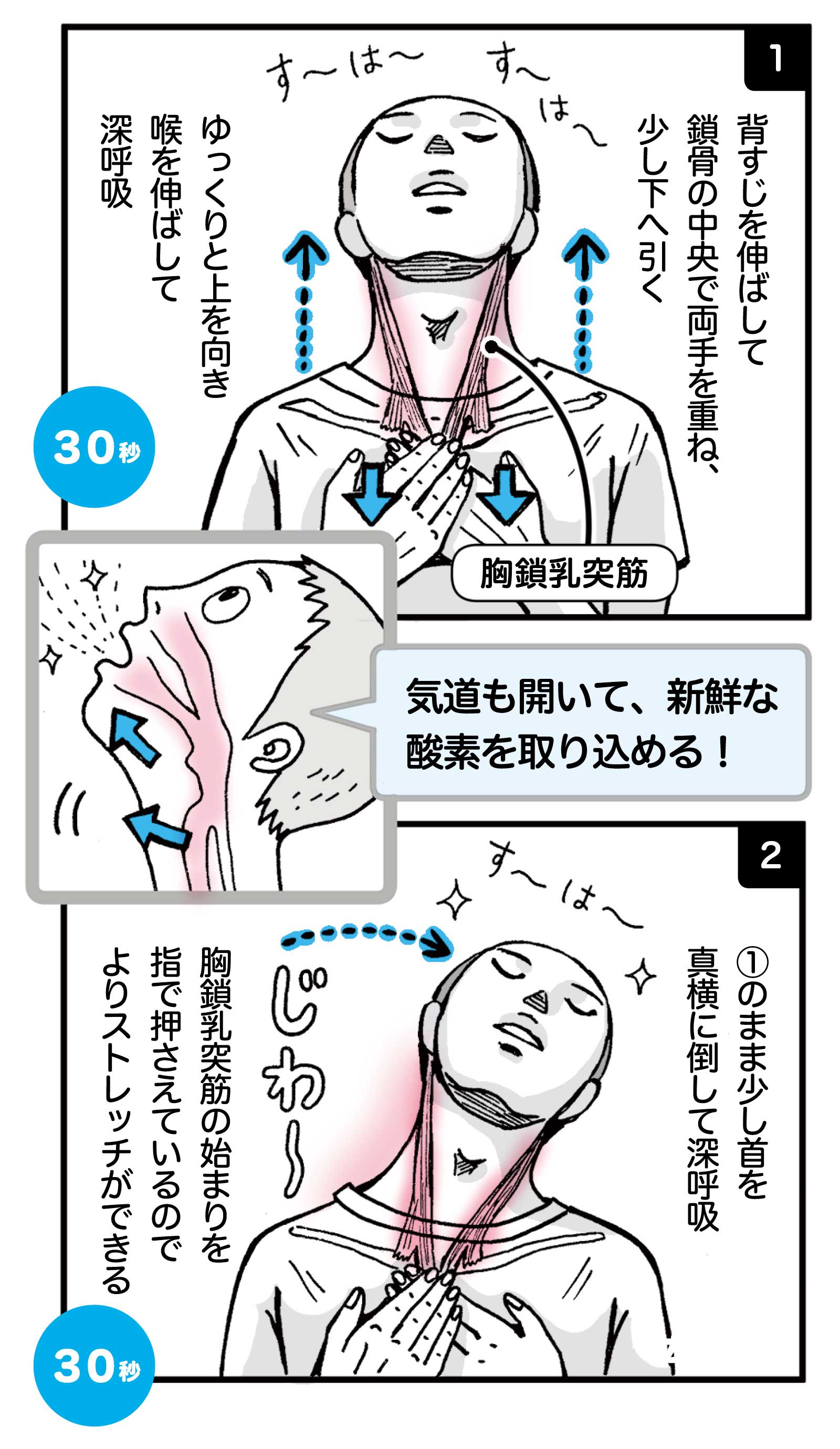 どこでもストレッチヨガ - 旅先でも、普段のヨガでも Yoga For Calmness 😌 510Megumi Yoga Tokyo