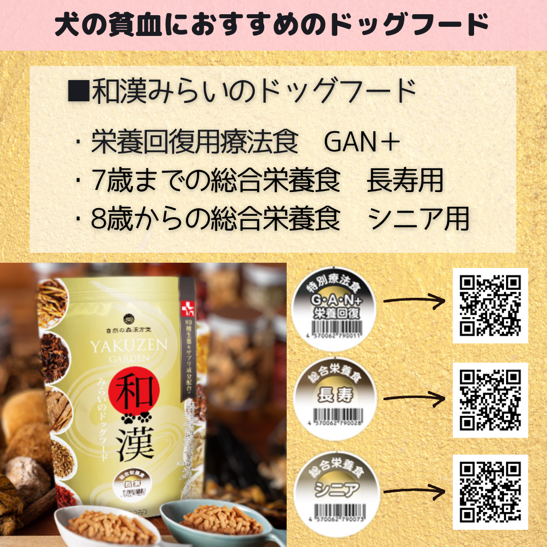 貧血予防は冷え予防！鉄分を効率的に摂取するためには？オリーブ便り